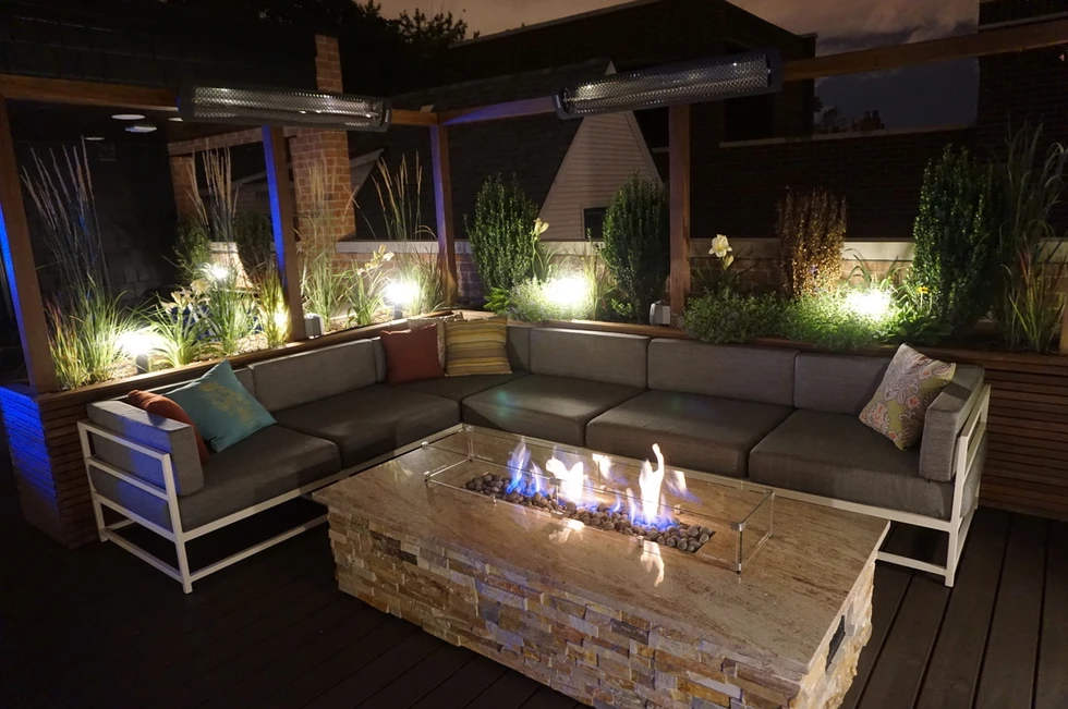 landscape lights used to highlight plants