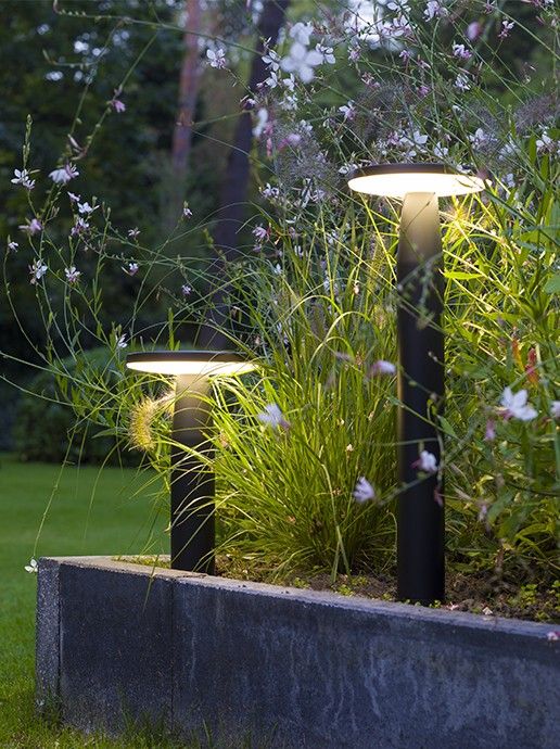disc path 12V Bollard light installed in garden.
