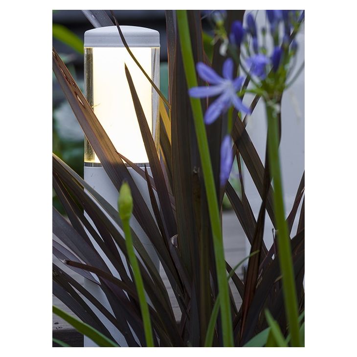 Liv Low path 12V Bollard light installed in garden flowerbed.