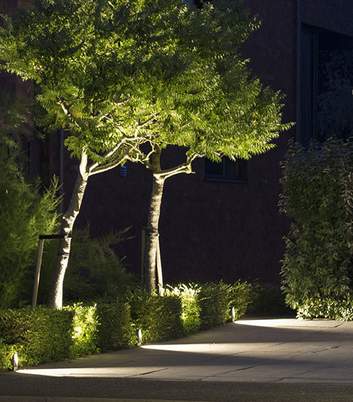 In-Lite Ace pathway bollard illuminating treed walkway. 