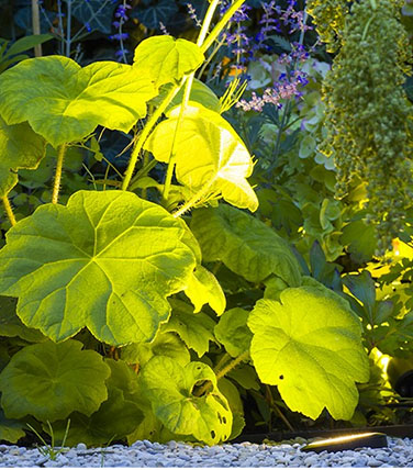 big flux ground spot light in garden