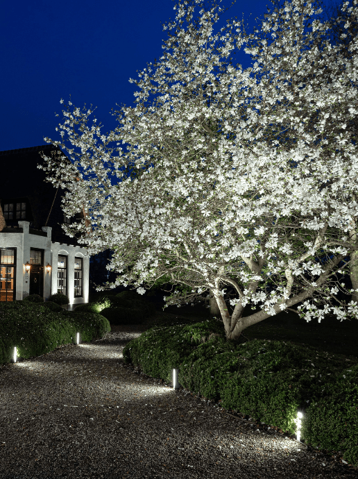 Big Scope spotlight installed lighting up front garden walkway.