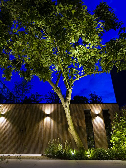 Installed Big Scope narrow 12V illuminating large tree