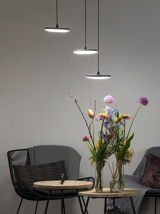 Disc Pendant hanging from ceiling