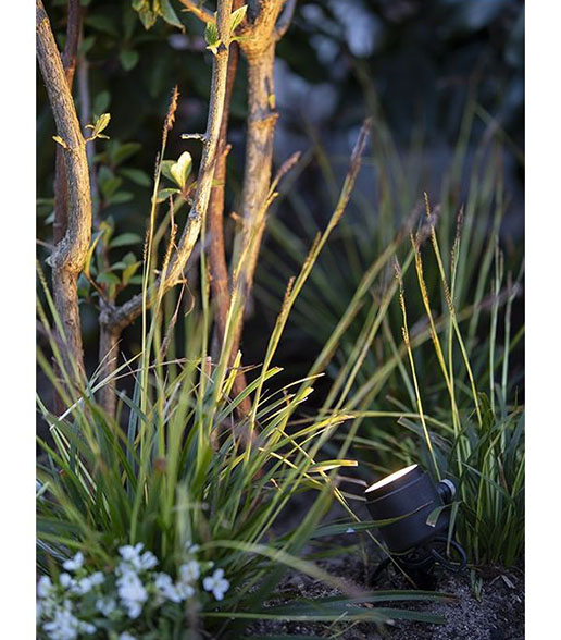 Mini Scope in garden