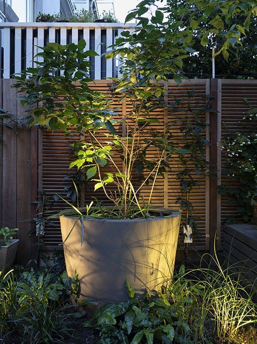 Mini Scope spotlight installed lighting up backyard planter.