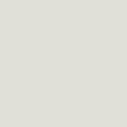 artic white colour swatch