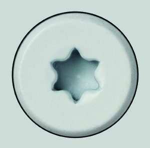 #39 white screw