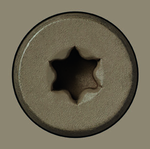 #54 warm gray screw
