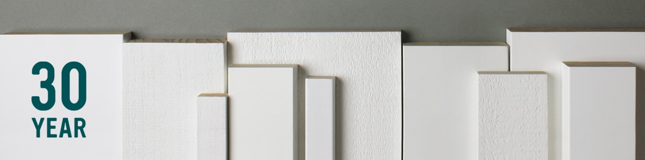 S1S2E WindsorONE Protected example boards
